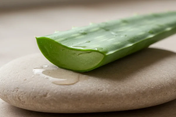 Waxing Tools: Boosting Salon Success in 2026